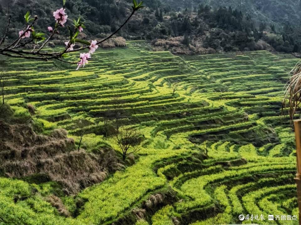 婺源篁岭梯田油菜花,美不胜收