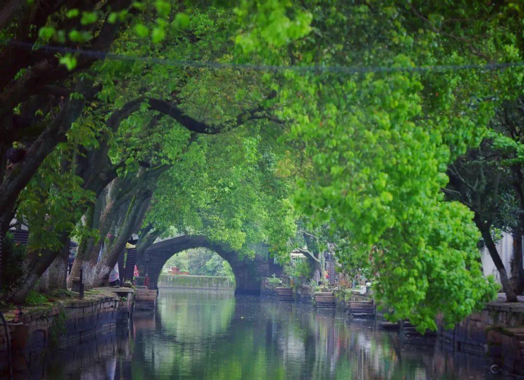 夜·赏 | 走进苏州同里古镇