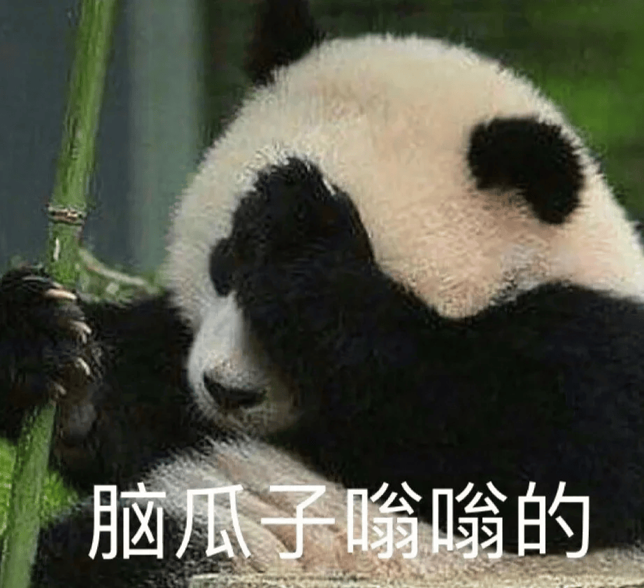 "先就业还是先择业?"别急,干货来了