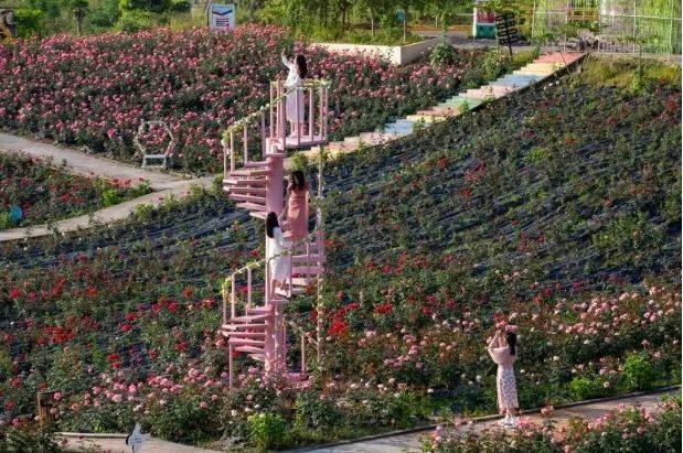 巴蜀一家亲·自在广安行|川渝万名车友广安自驾游暨夏季文旅产品发布