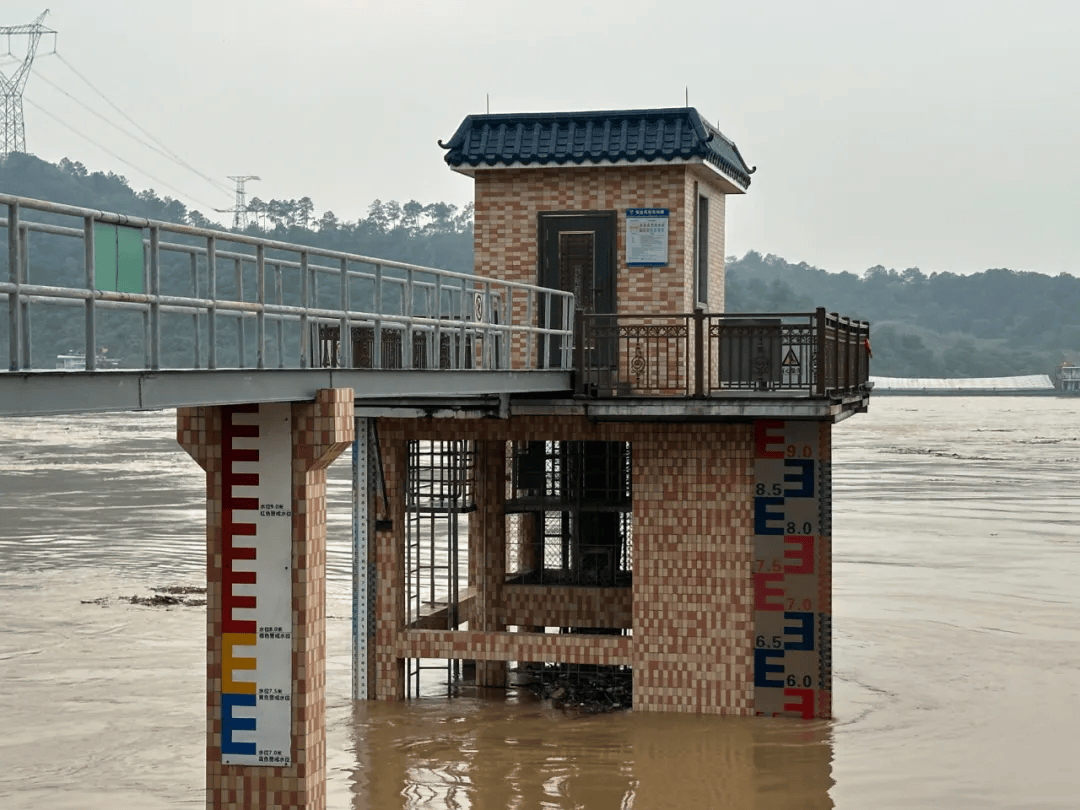 沙头北江湿地公园已关闭!洪峰今晚将过境佛山