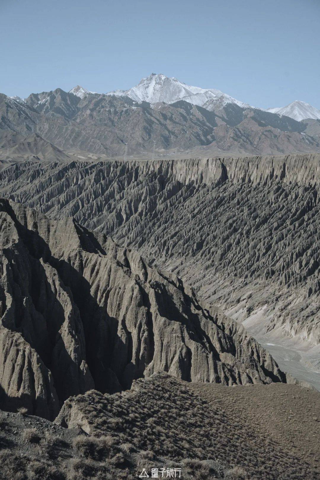 北疆「我的阿勒泰」夏日版 | 一封来自遥远北疆的信