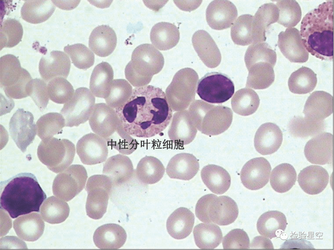 118论坛,118图库彩图图片