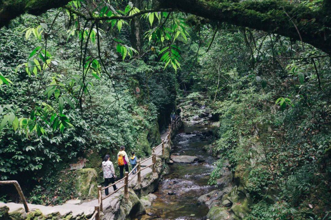 早餐后出发,乘车前往哀牢山,先到达嘎洒小镇花腰傣民俗村-【平寨村】