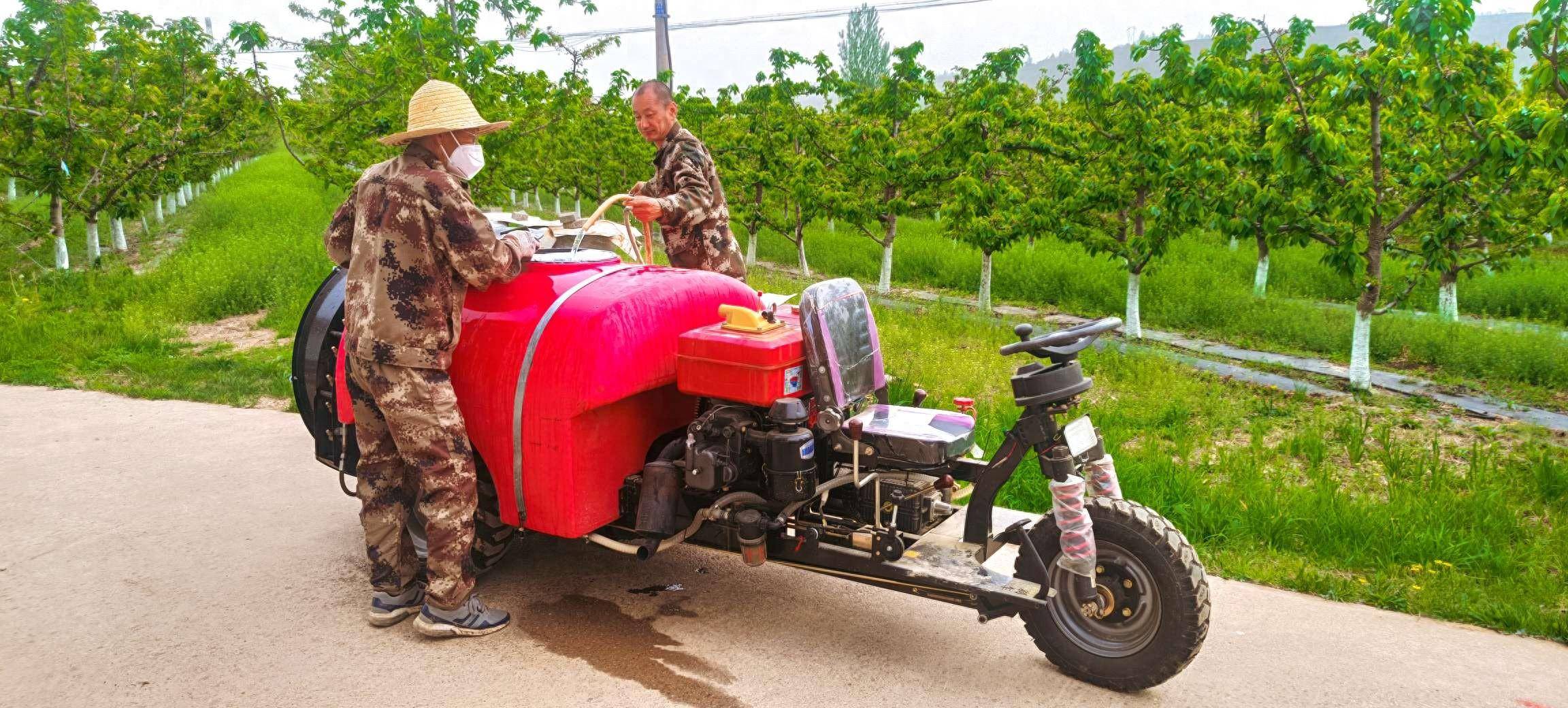 千阳县城关镇侯家坡村:发展富硒产业 让传统农业更具吸引力