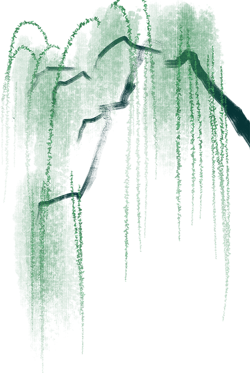 阅读点亮家庭·云荐书|春日读书兴味长