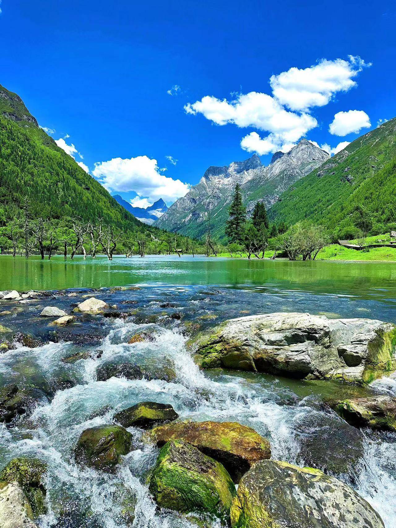 如果您对我们的四川旅游感兴趣或者有任何关于旅行计划的疑问,都挥