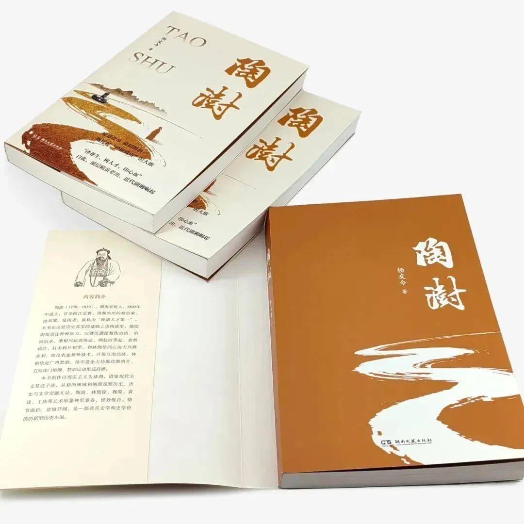 杨友今 著 湖南文艺出版社出版内容简介长篇历史小说《陶澍》的成功面