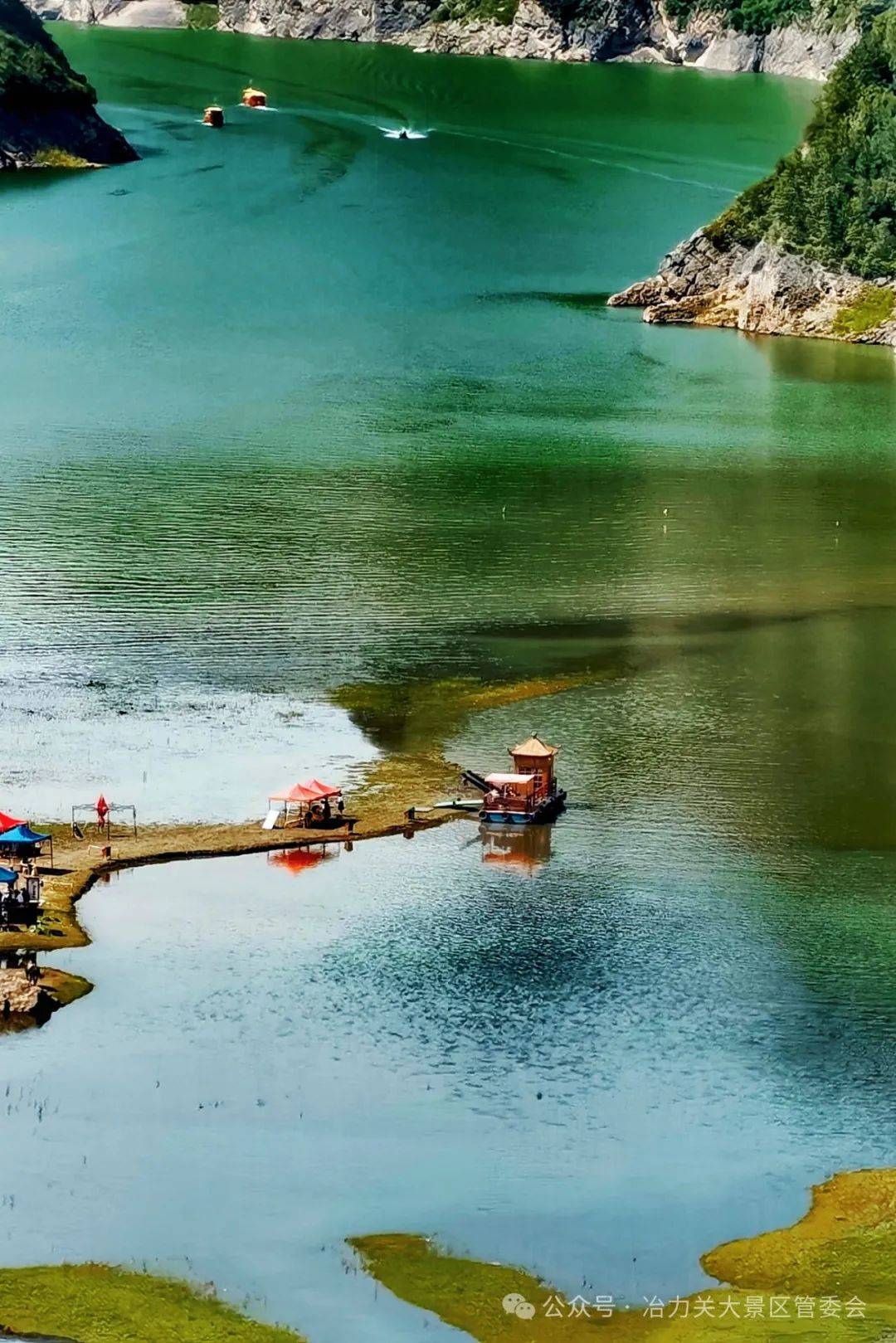 花开遍野时,我在冶力关等你