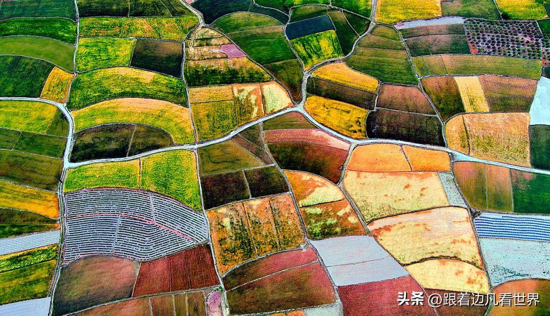 金沙江畔的五彩大县乡_麦田_田野_画卷