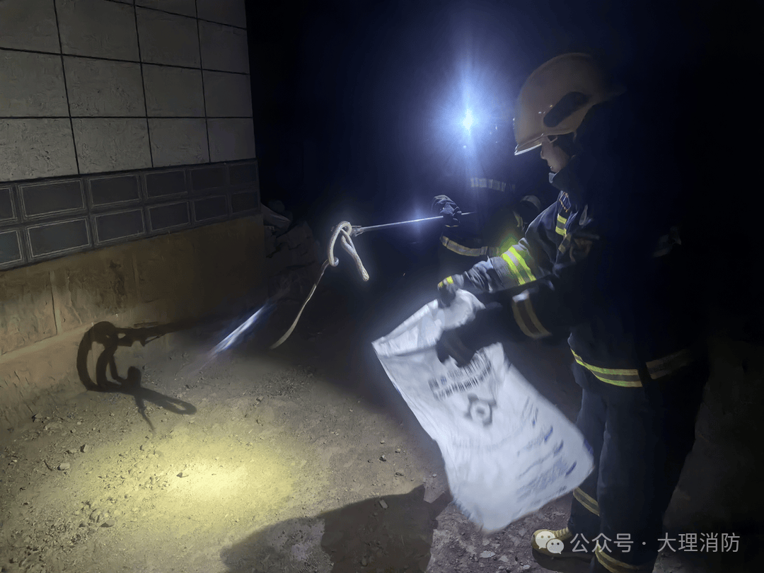 弥渡县寅街镇武邑村委会莘野村居民家院子石堆里有一条蛇,请求消防员