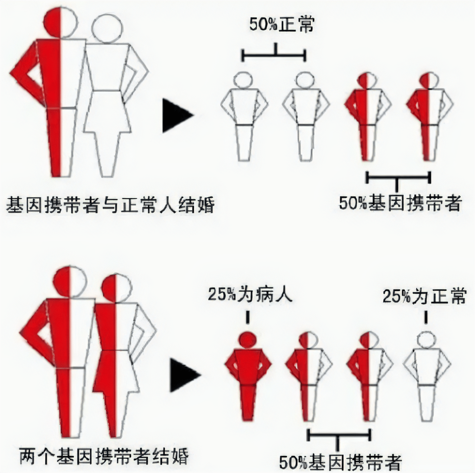 人类是怎么繁殖 疯狂图片