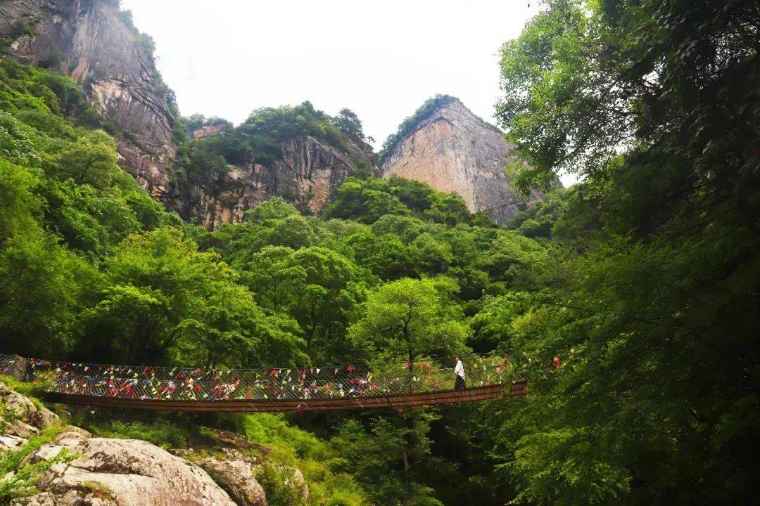 "雾瀑崖","神女峰"三大景区多个景点,山势巍峨壮观,山下溪水淙淙