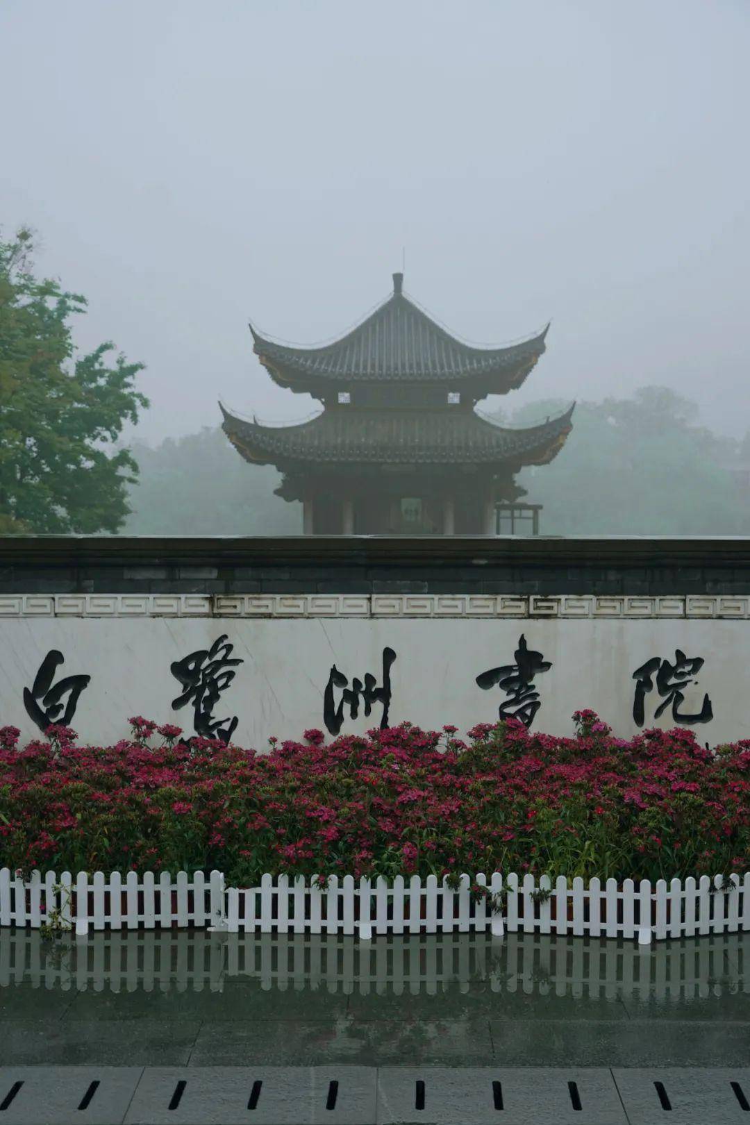 江西这座被严重低估的小城太让我惊喜了