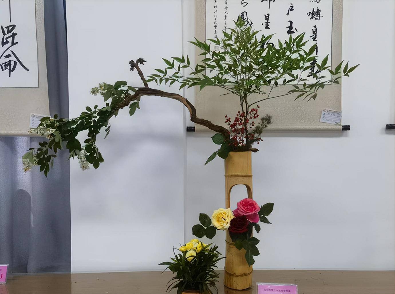 郑州第三十届月季花展开幕!68件插花作品同亮相