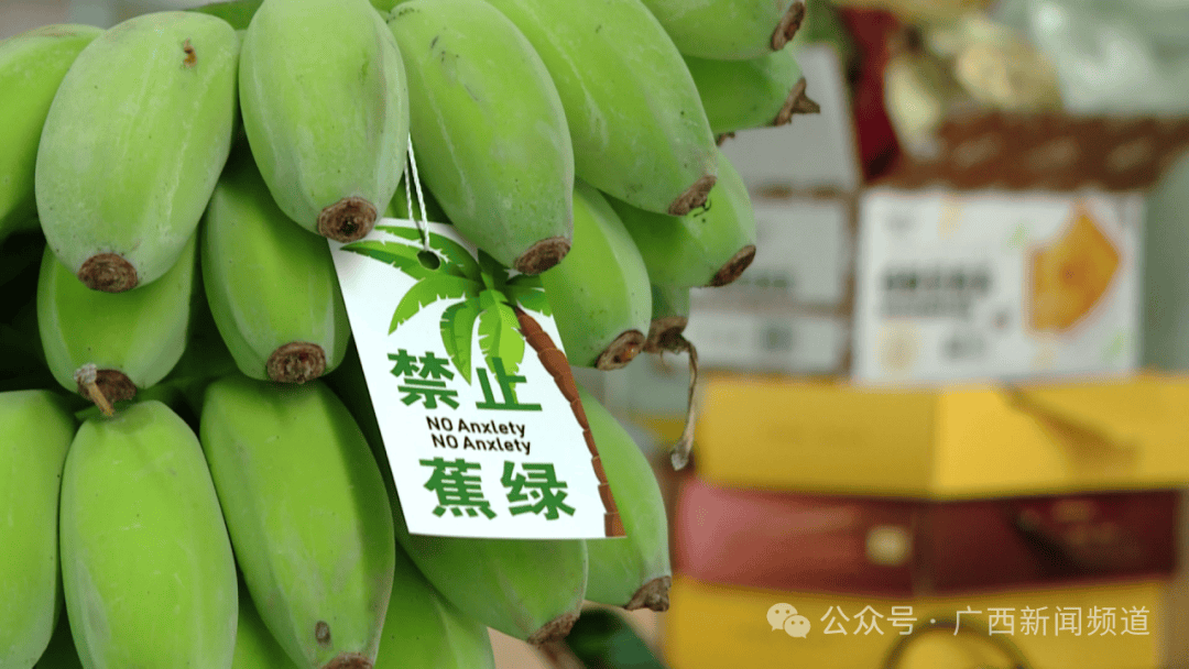 "鲜切香蕉枝"竟成新网红?日售超10万斤,广西有商家忙得不亦乐乎