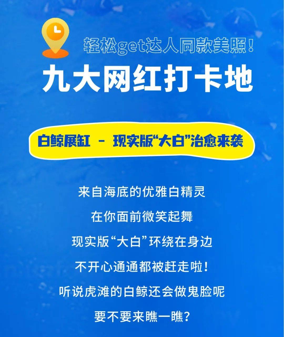 给"王者"取名,送老虎滩门票!