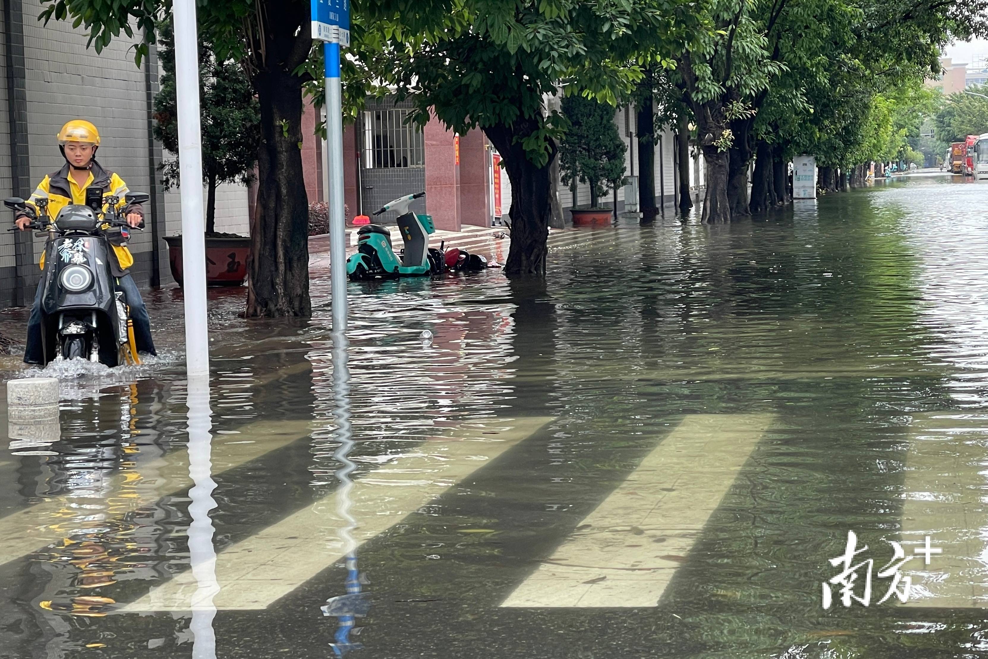 一线直击|金平工业园区积水严重,"车河"绵延致企业出行受阻