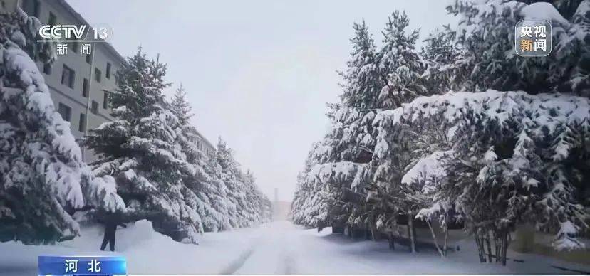 一夜返冬！雪深超过30厘米！河北承德4月出现暴雪，内蒙古也突降大雪：家长送娃半路接停课通知
