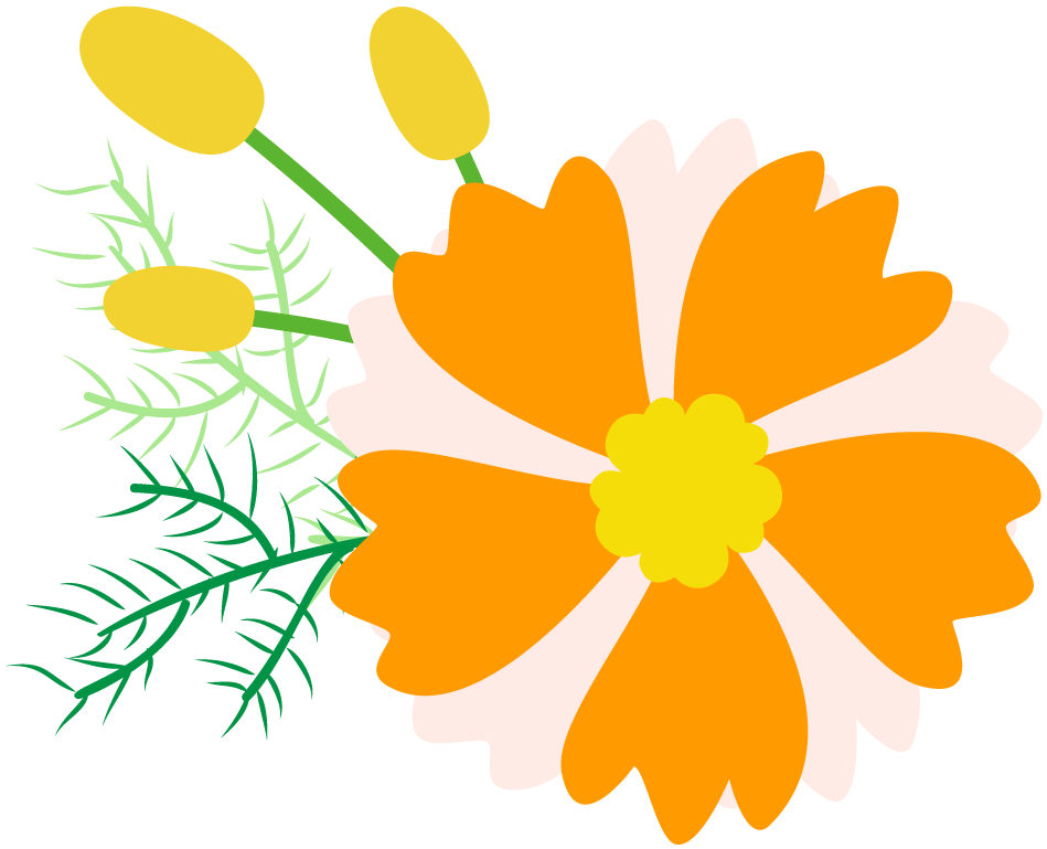 用银联卡打开曼谷逛吃攻略_latex