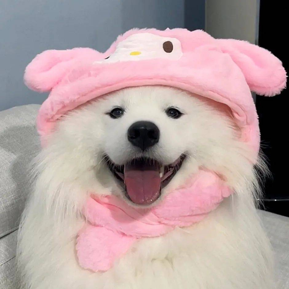 头像丨封神级的wetchat头像