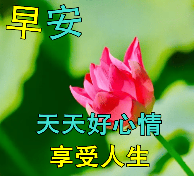 674月29日早上好动态表情图片及早晨好动图美图大全 淡淡的人生淡淡