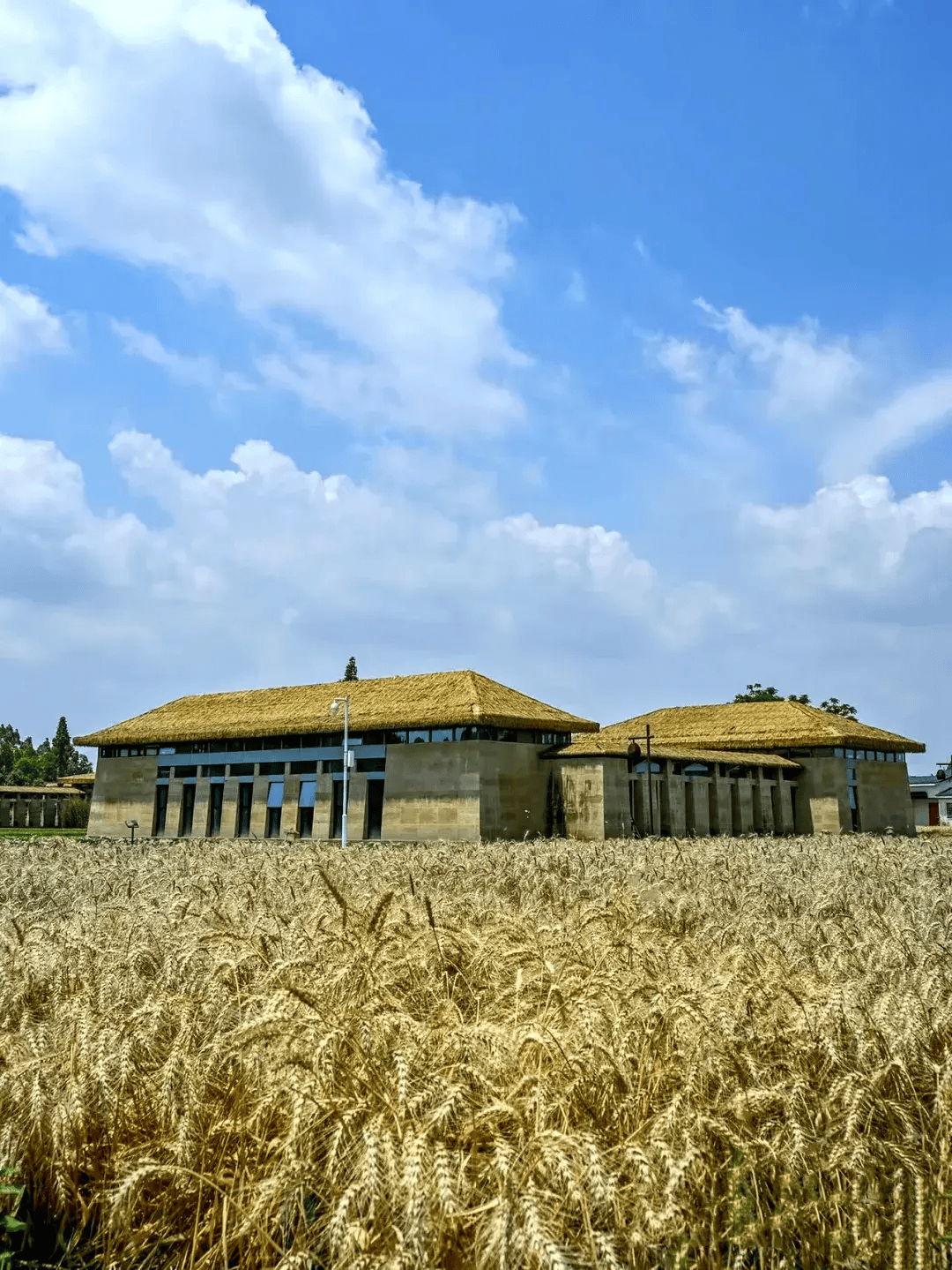 逛世园 游新津!"五一"这样玩