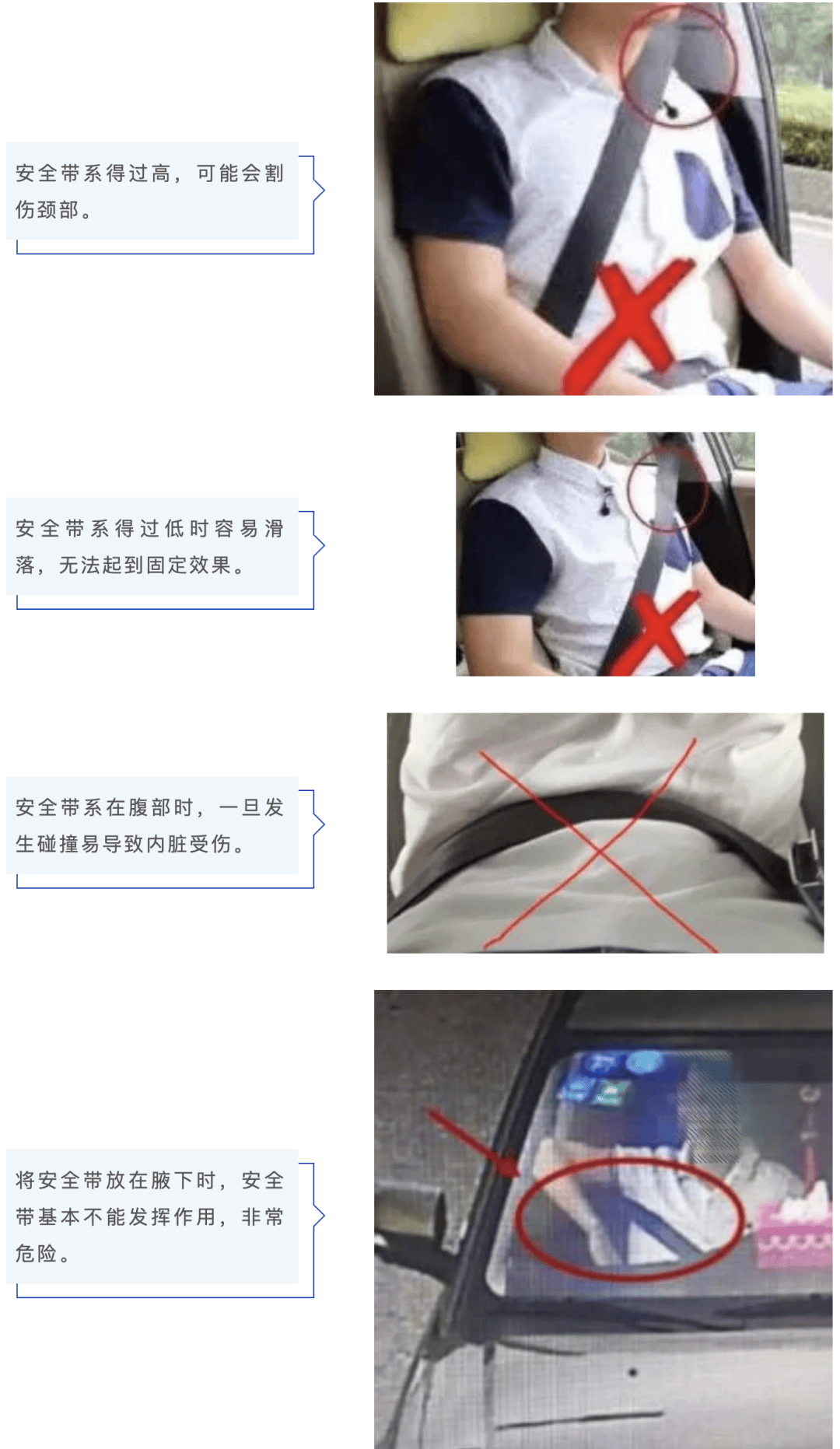 后排乘客不系安全带罚200元?交警:罚,但是这样罚