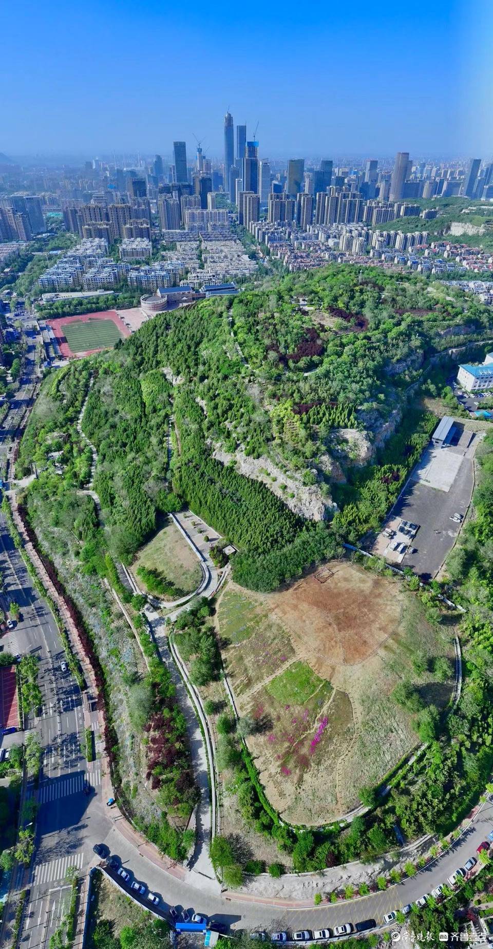 牧牛山山体公园植被茂密,都市里的天然氧吧