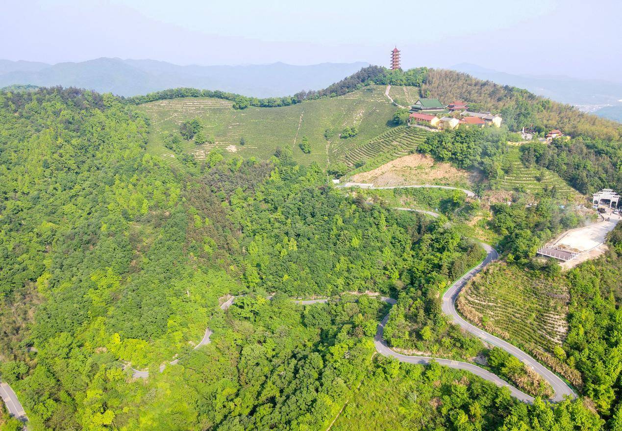 安徽庐江:"四好农村路"链接乡村振兴好风景