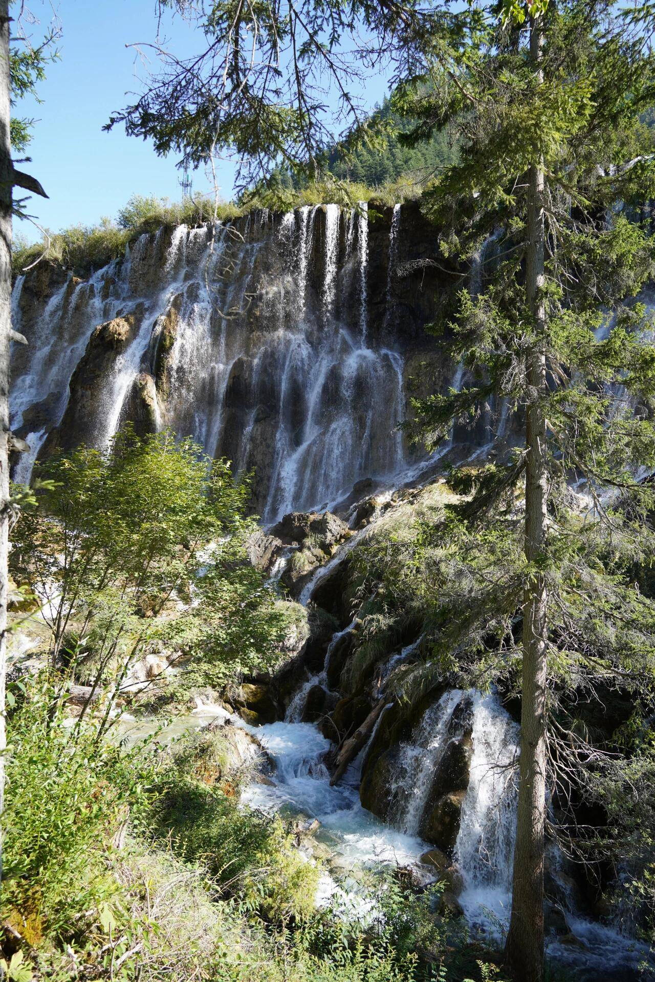 四川省的旅游景点有哪些 ,不踩雷版