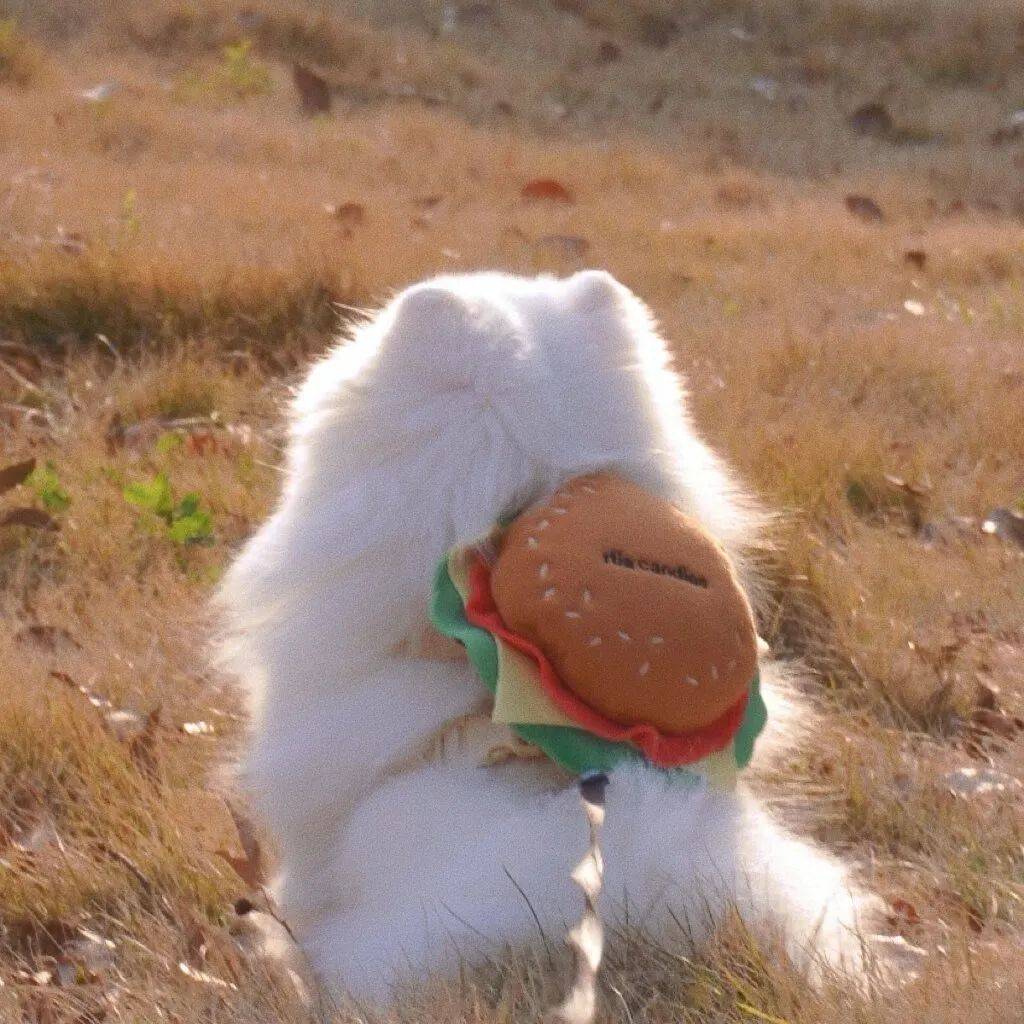 小众头像爱好者