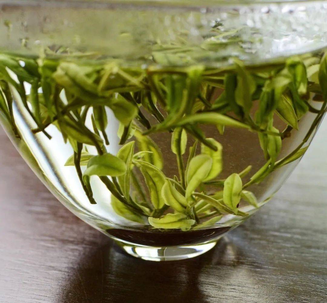浙江不仅是鱼米之乡，还是丝茶之府！盘点浙江5大名茶，你喝过几种？