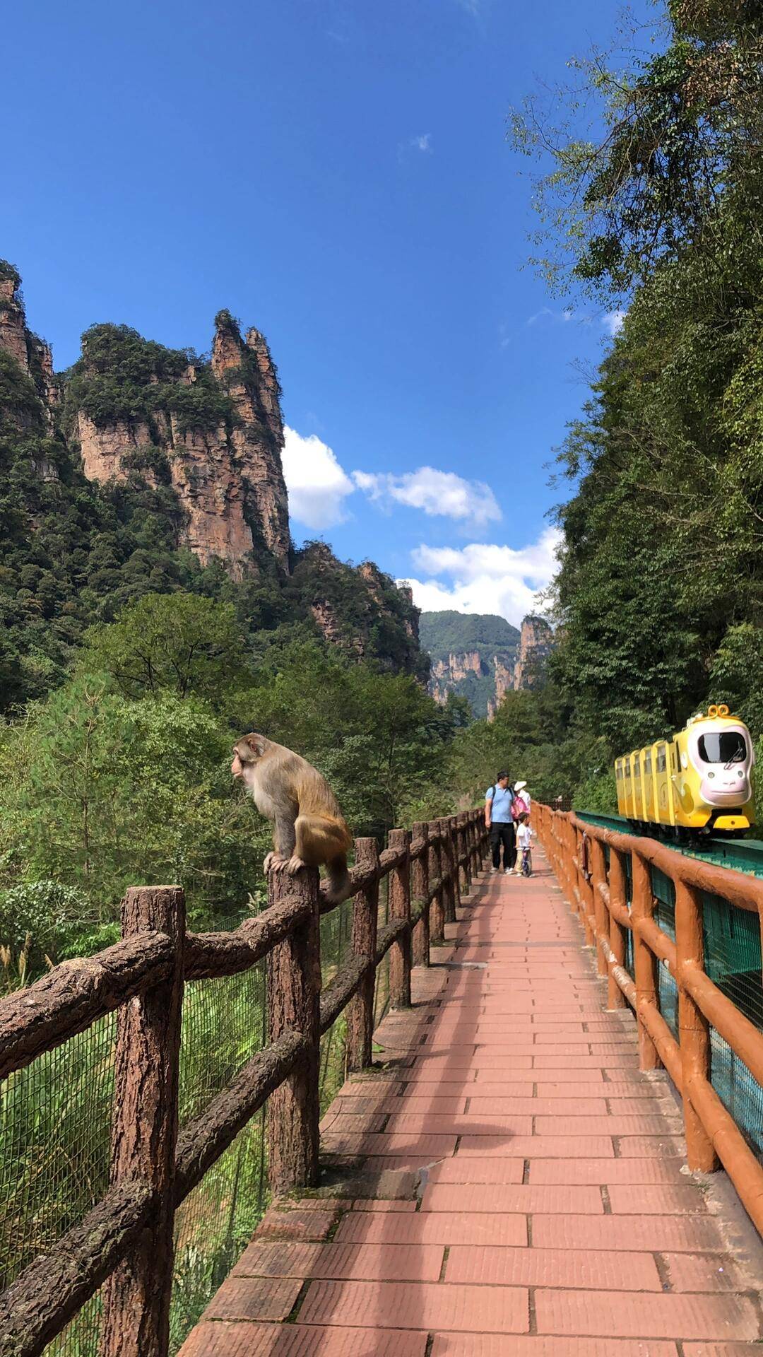 五指山到张家界旅游团 ,干货满满,怎么去?怎么玩?怎么吃?怎么睡?