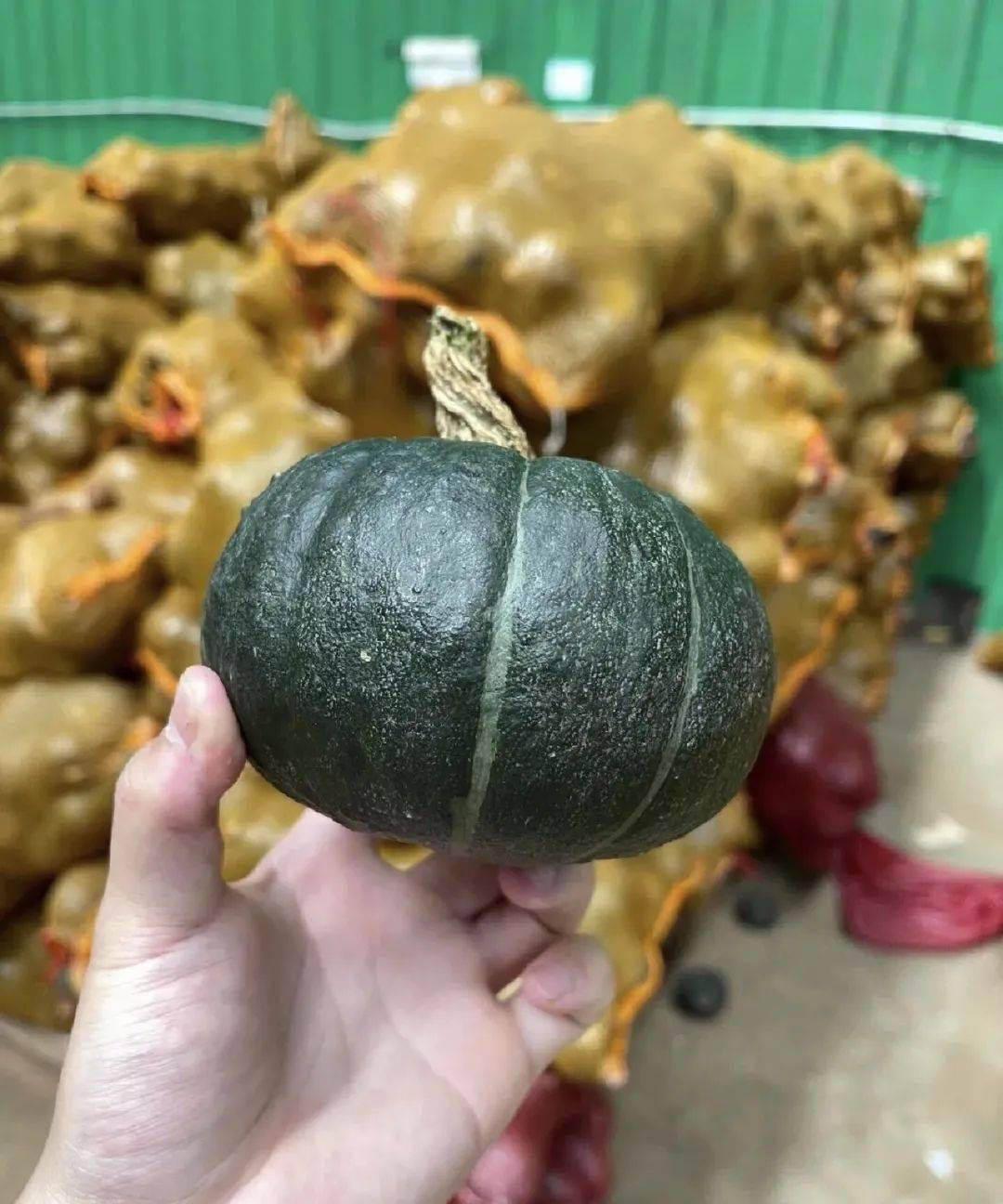 【超甜贝贝小南瓜】开团价29.9元!