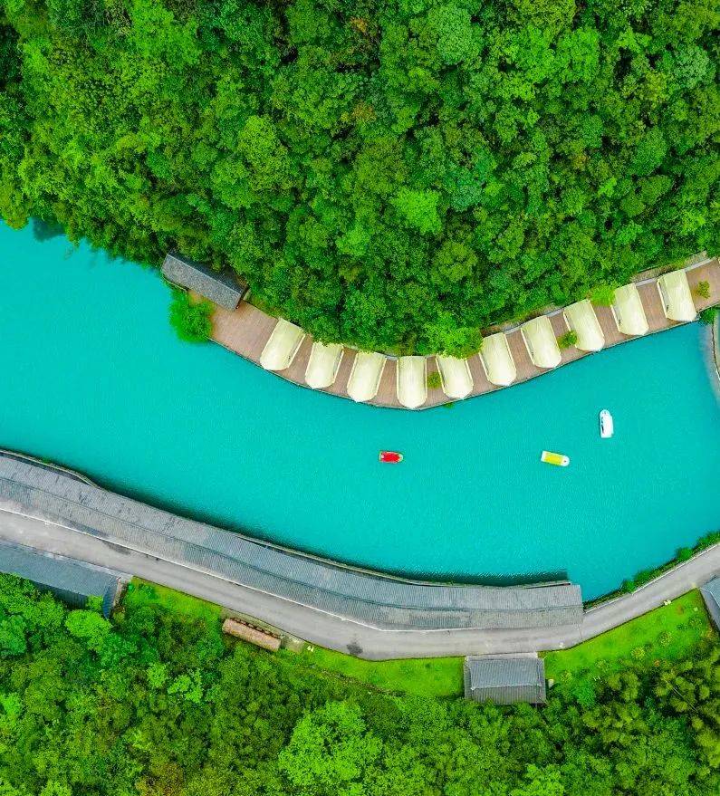 杜鹃盛放,金佛山五一笑迎八方宾客