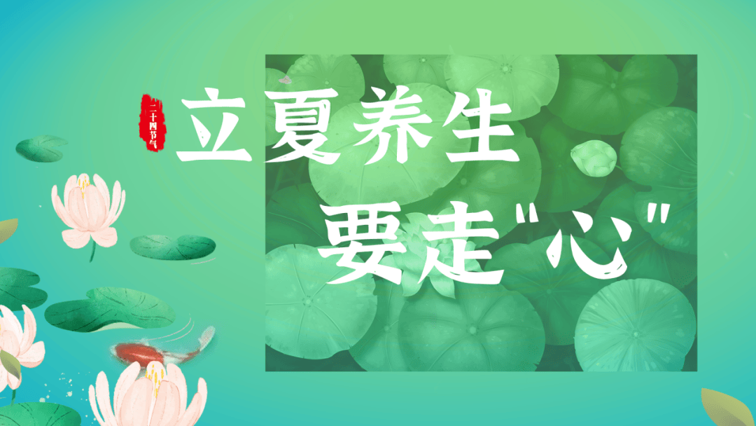 播放一下健康养生节目视频(播放一下健康养生节目视频在线观看)