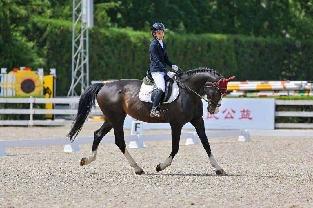 图集 | 2024北京舞者马术盛装舞步俱乐部联赛第2站圆满落幕!