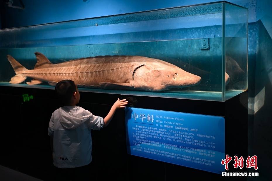 北京 游客在国家自然博物馆乐享五一假期