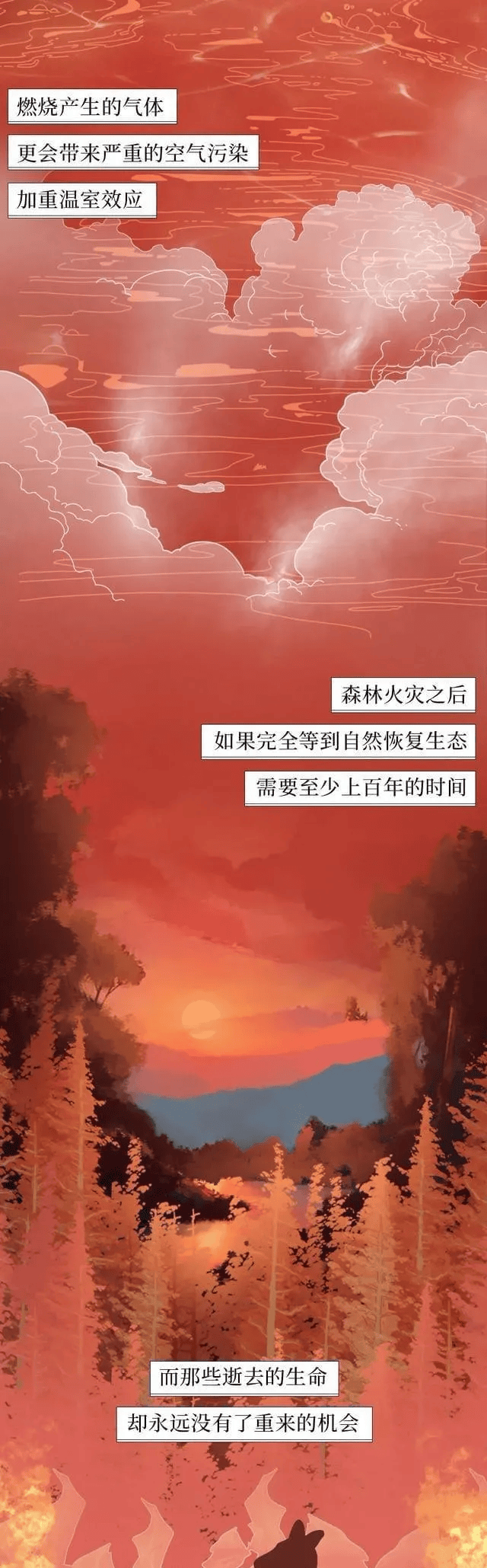 一图读懂 i 森林火灾那些事儿