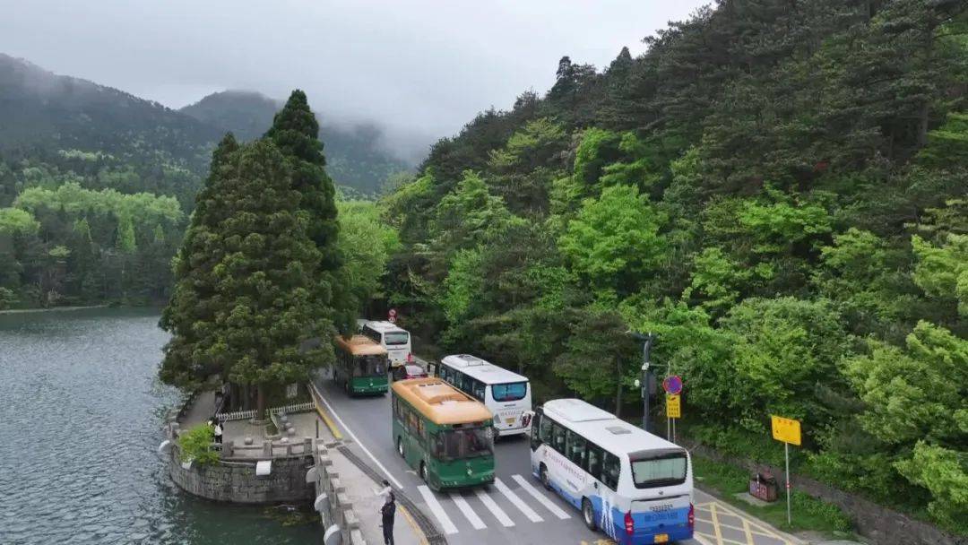 庐山旅游观光车股份有限公司五一小长假"公主请上车"庐山铛铛车说道