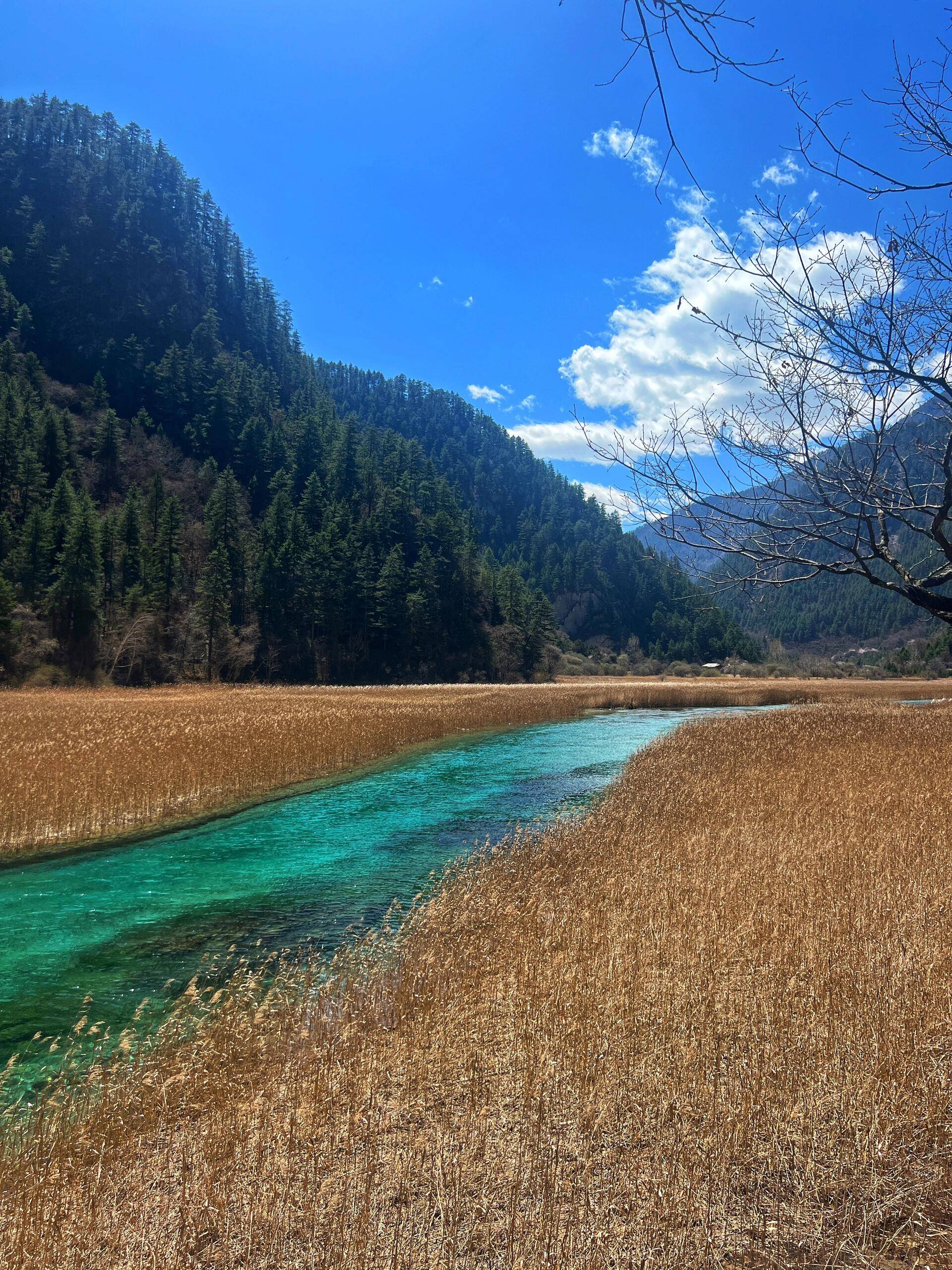 景点排名 旅游景点图片