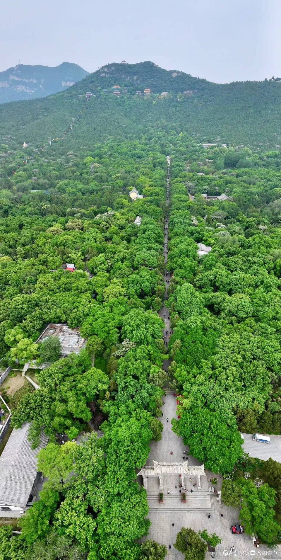 立夏节气的千佛山郁郁葱葱