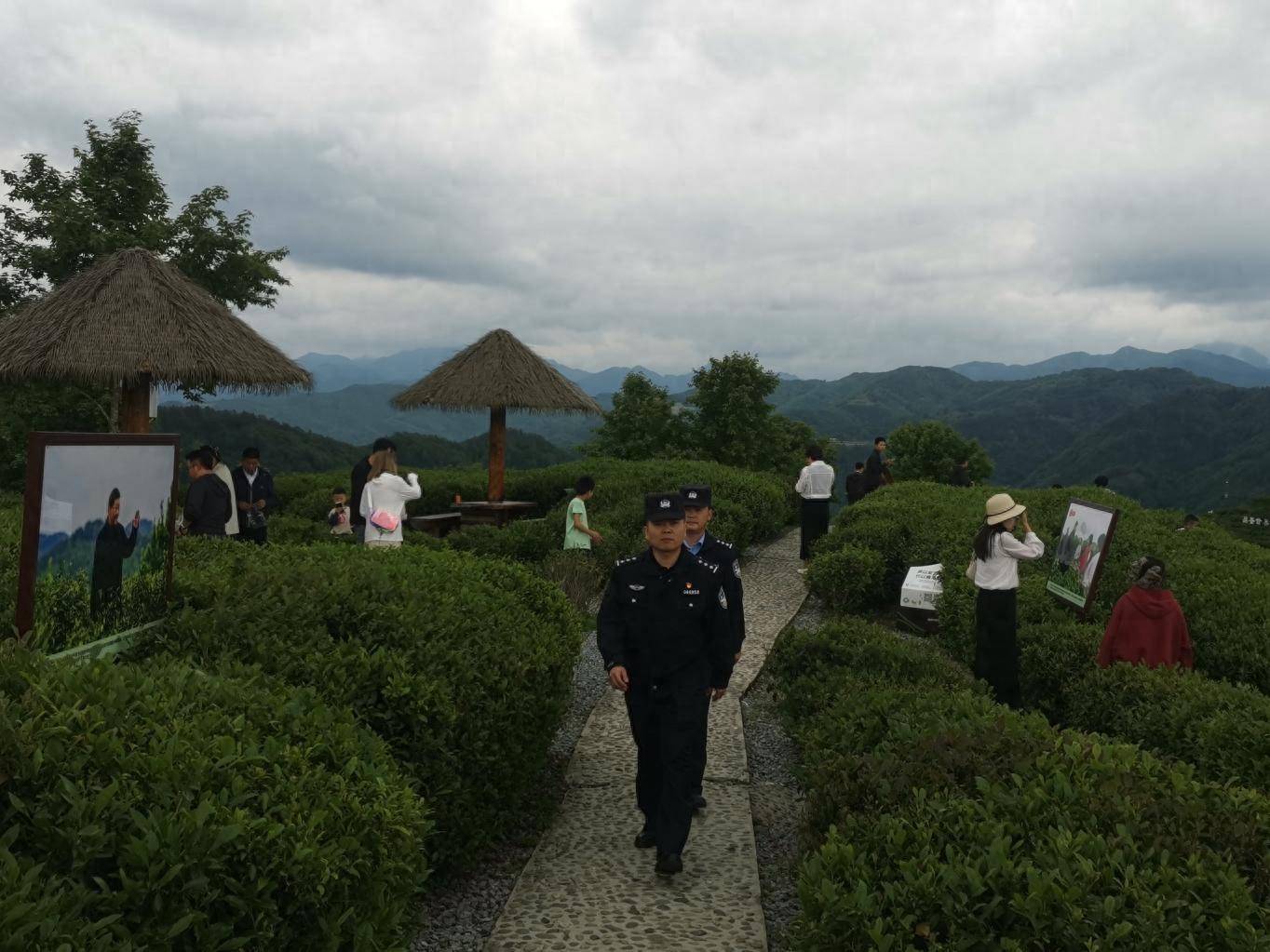 五一假日期间,平利县老县镇蒋家坪茶山景点迎来了旅游小高峰,老县