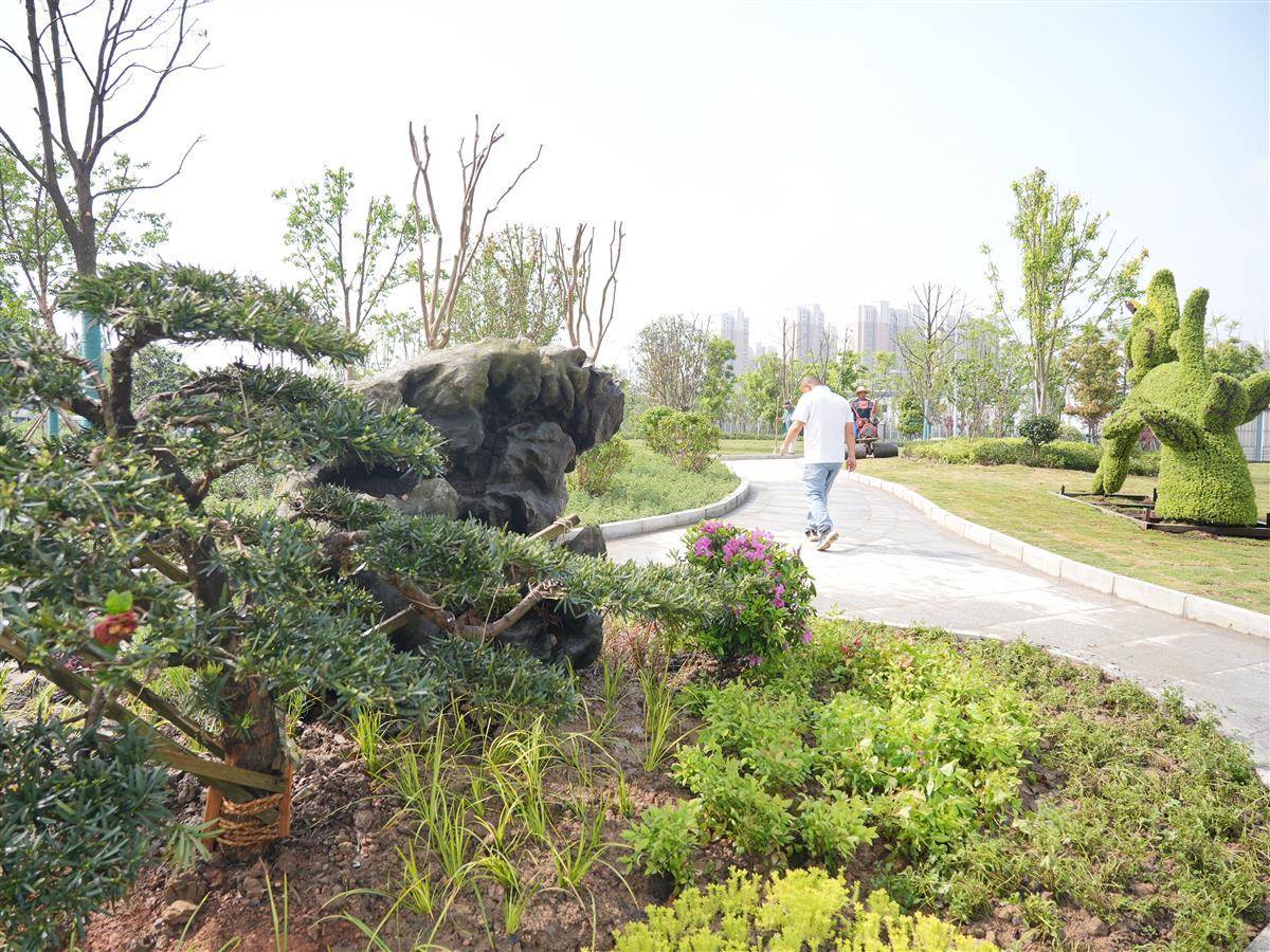 出门见绿好休闲,东西湖区走马岭又一个口袋公园正式开放