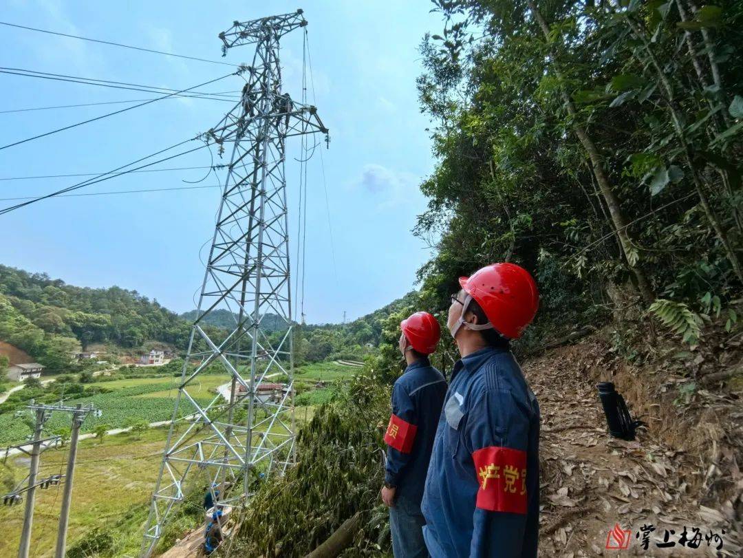 大埔青溪"一线四村"配电网标准化治理主体工程完工投产