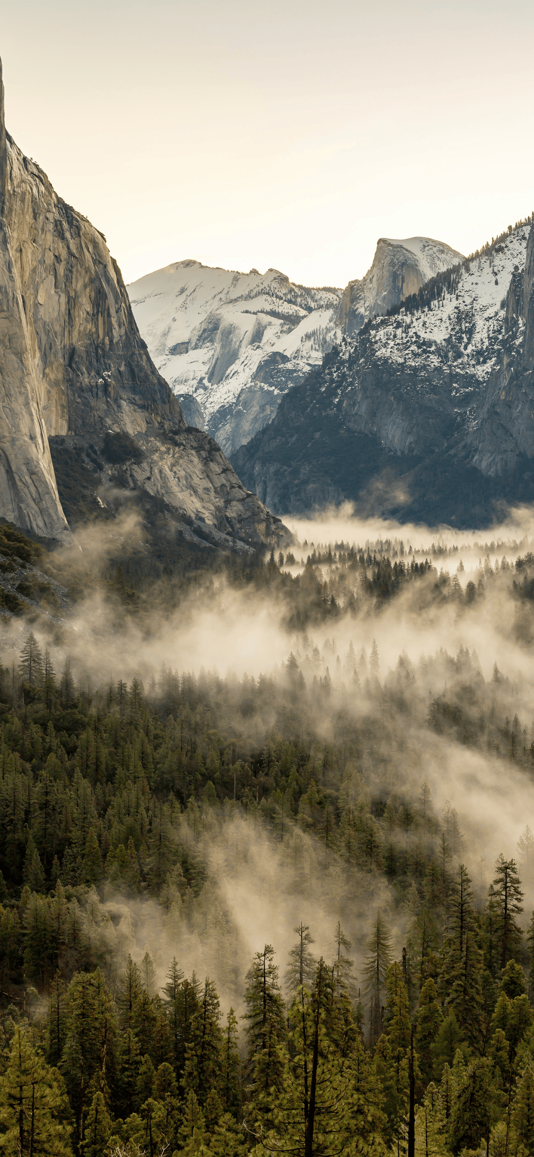 壁纸 风景 1080_2340 竖版 竖屏 手机