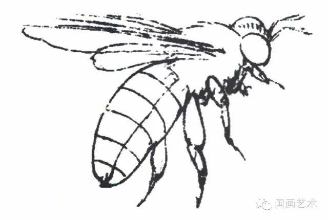 图文教程:工笔昆虫设色步骤之蜜蜂,胡蜂