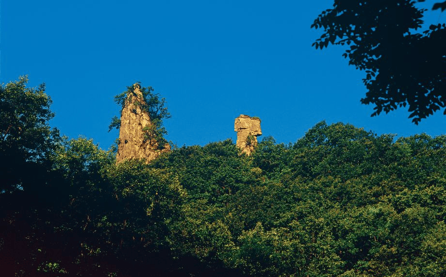 人间而夏日的阳光则让大地变得更加翠绿end来源 |山西蟒河生态旅游区