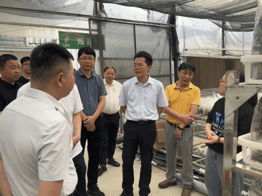 南安市领导深入向阳乡开展农业产业强镇项目调研指导工作